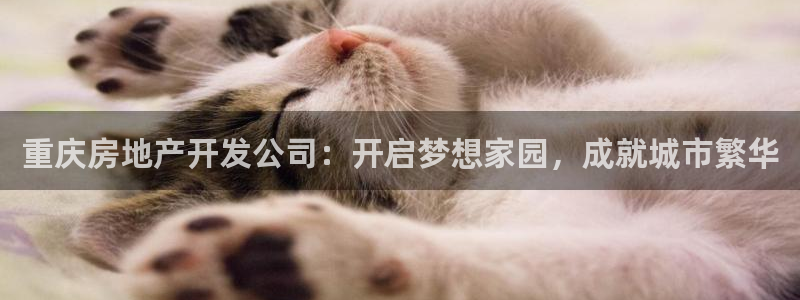 万向娱乐app