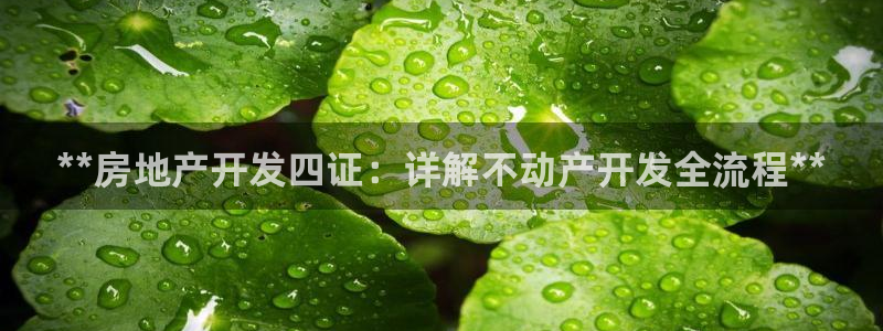 万向娱乐登陆官网