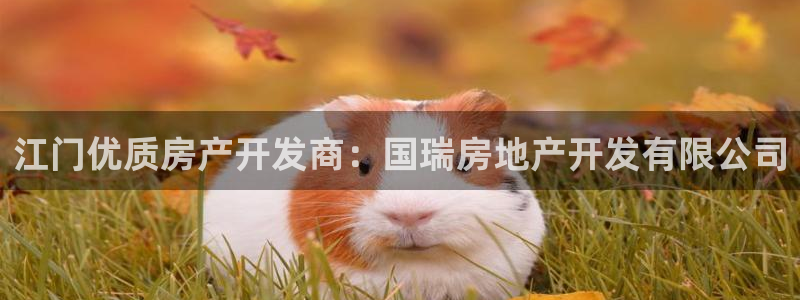 万向娱乐的联系方式有哪些