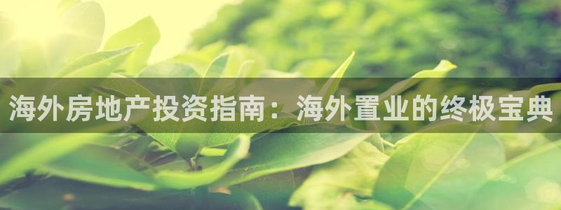 万向娱乐平台代理多少钱