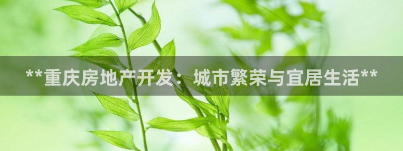 万向娱乐平台代理多少钱一个