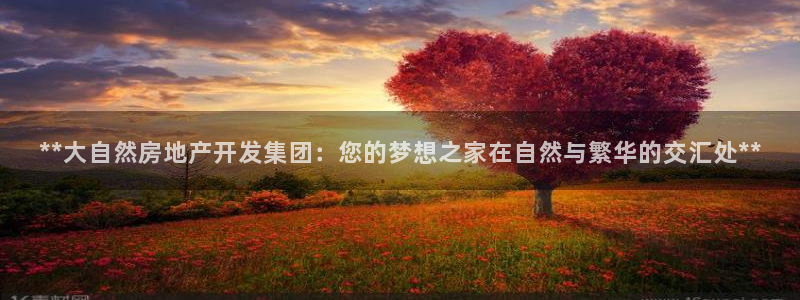 万向娱乐技术分享