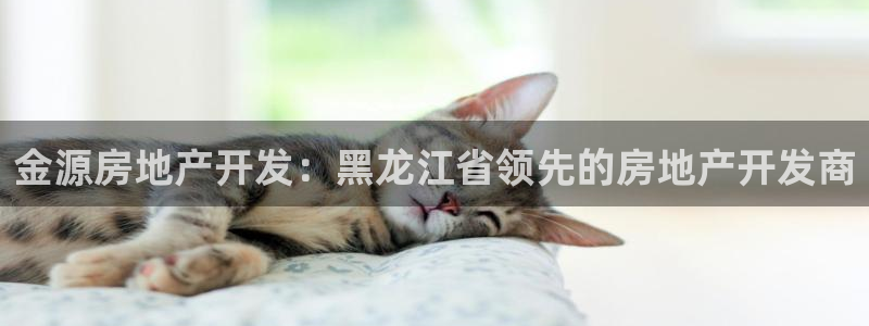 万向娱乐的494o3 主管