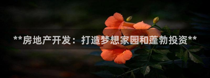 万向娱乐平台招商骗局