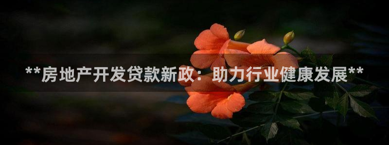 万向娱乐app