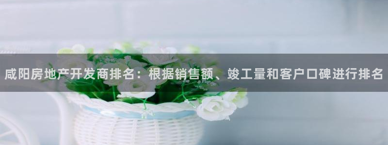 万向娱乐app