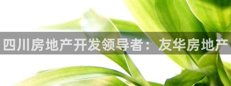 万向娱乐平台代理怎么样赚钱