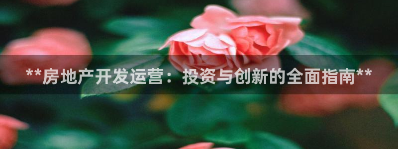 万向娱乐app下载