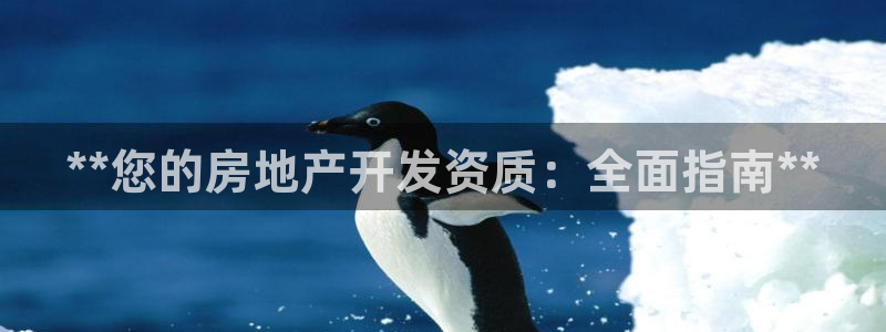 万向娱乐招商