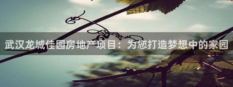 万能娱乐代理网址