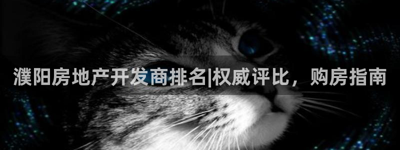 万向娱乐挂机软件