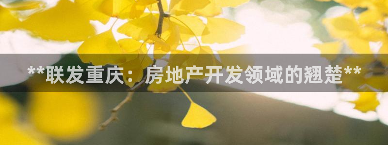 万向娱乐的联系方式