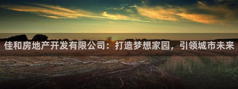 万向娱乐app