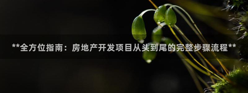 万向娱乐平台代理多少钱一年