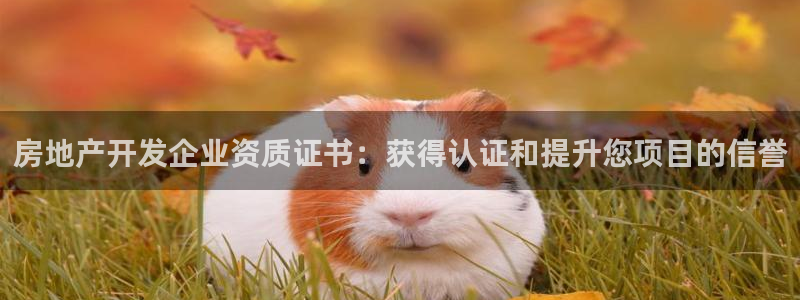 万象游戏代理