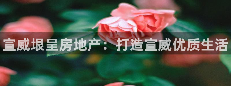 万向娱乐怎么样