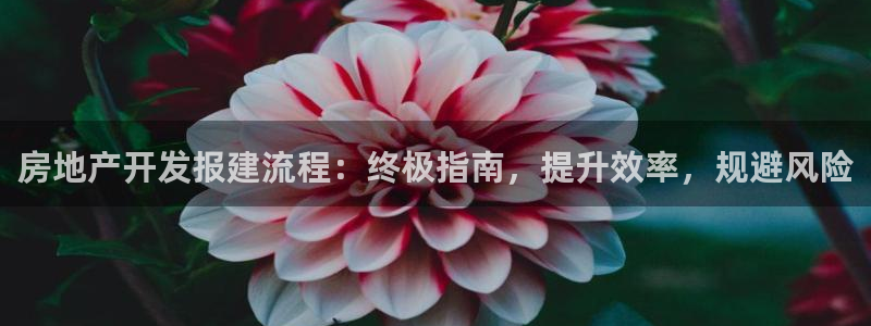 万向娱乐平台代理怎么样