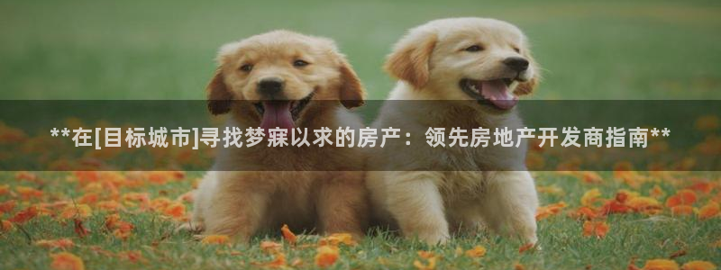 万向娱乐的联系方式