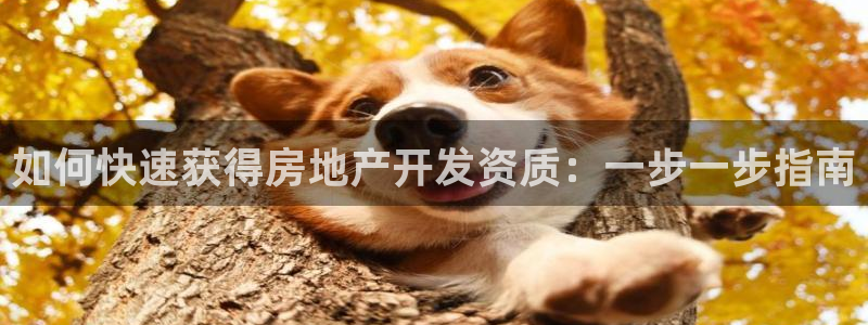 万向娱乐平台代理怎么样赚钱