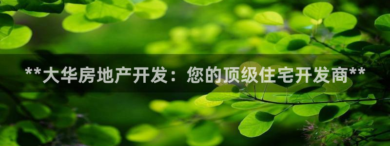 万向娱乐平台代理怎么样啊