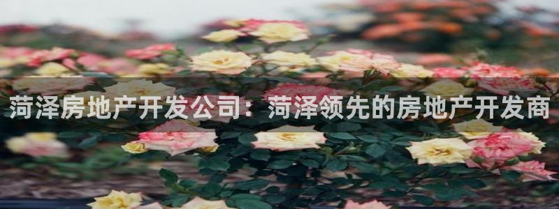 万向娱乐官网