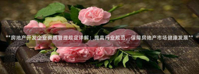 万向娱乐平台代理怎么样赚钱