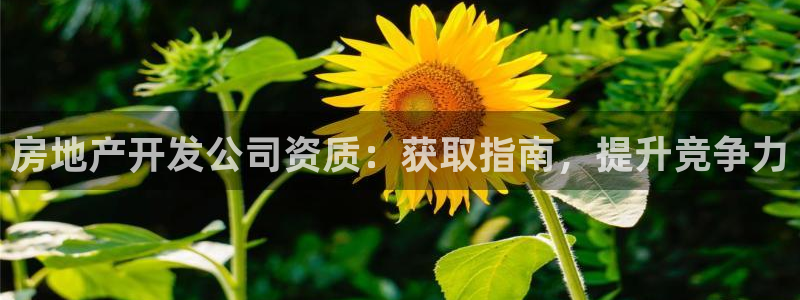 万向娱乐公司 585.34I 娱乐