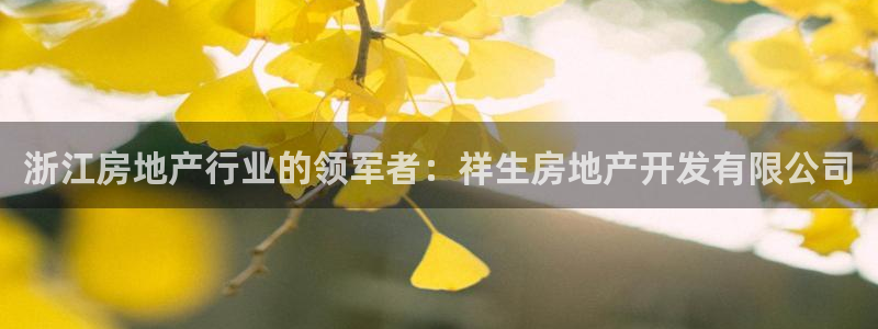 万象游戏代理