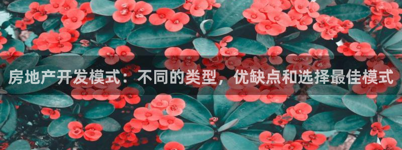 万向娱乐平台怎么下载