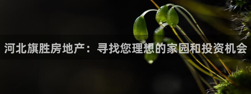 万向娱乐官网网址大全