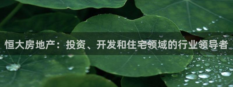 万向娱乐是野鸡台吗