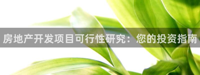 万向娱乐招商