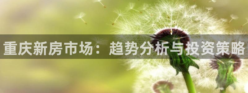 万向娱乐代理好看视频