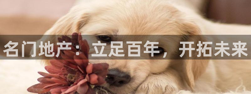 万向娱乐官网下载安装苹果