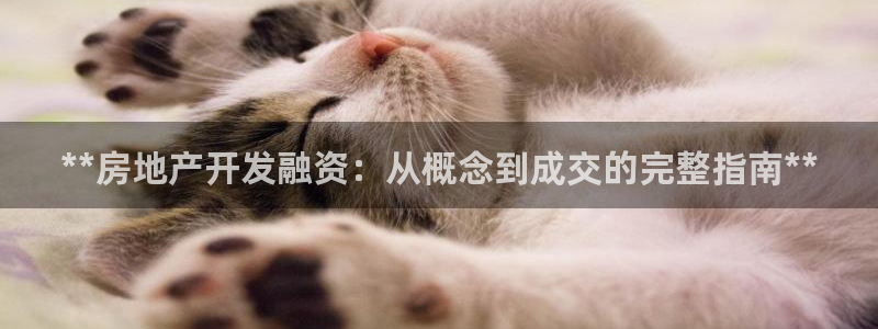 万向娱乐首页