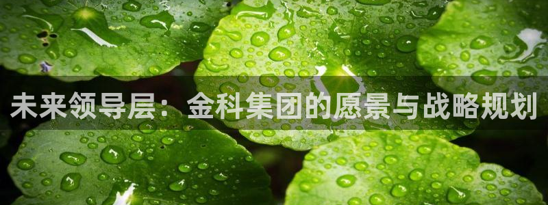 万向娱乐挂机软件