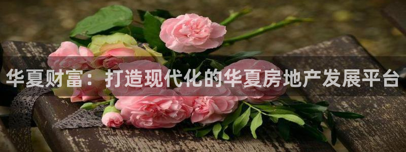 万向娱乐登陆官网