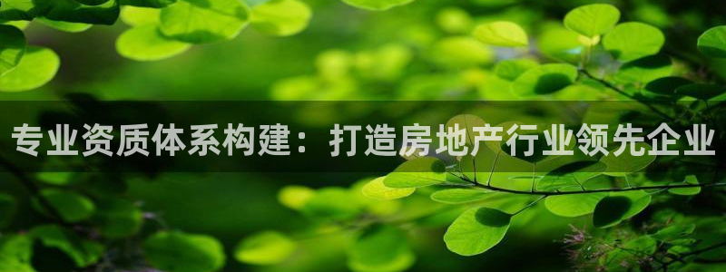 万向娱乐技术