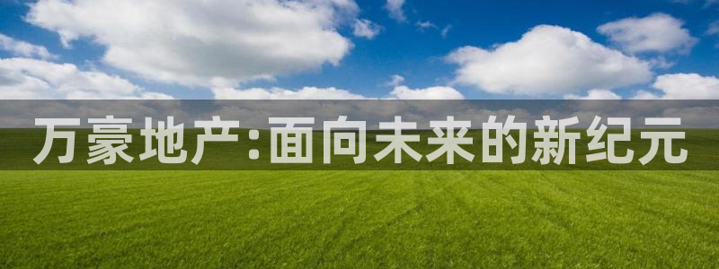 万向娱乐的494o3 主管