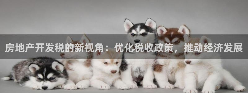 万向娱乐平台代理怎么做