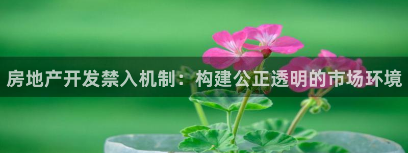 万向娱乐技术