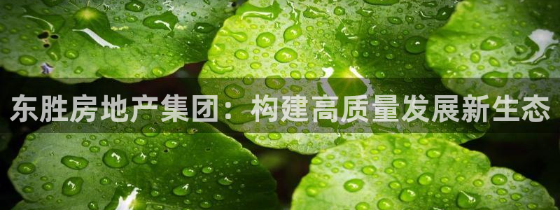万向娱乐平台好不