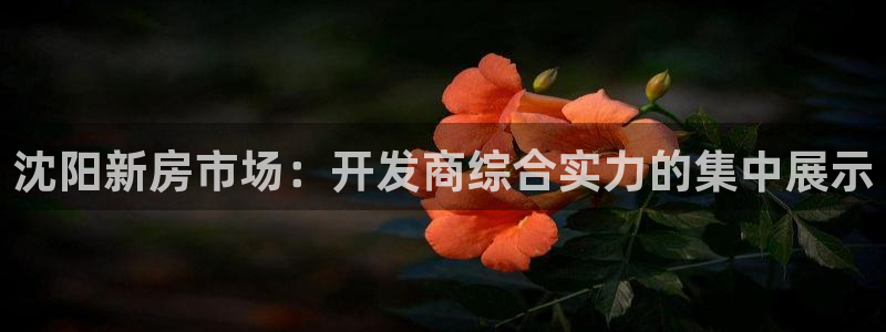 万象游戏代理