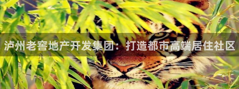 万向娱乐平台代理怎么做