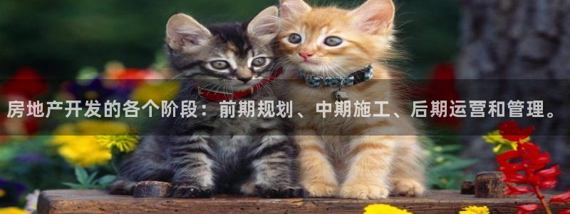 万向娱乐平台招商骗局