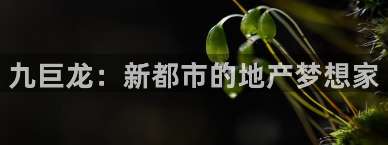 万向娱乐平台代理多少钱一年