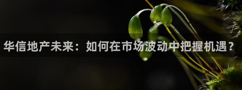 万向娱乐平台代理怎么做