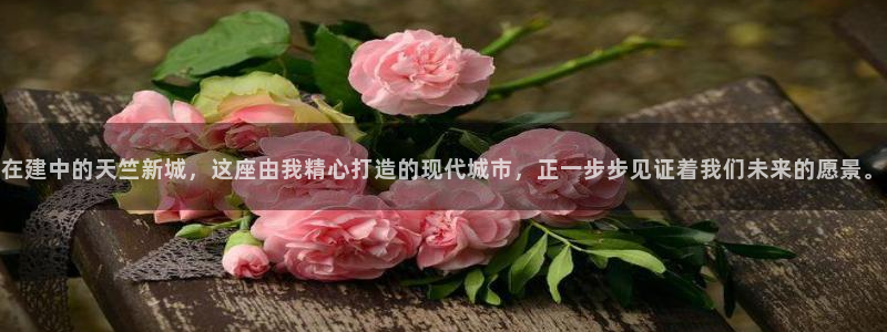 万向娱乐平台代理怎么做的