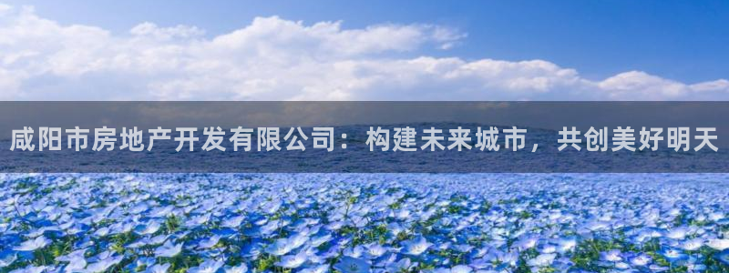 万向娱乐app下载安装