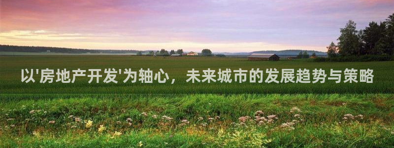 万向娱乐是野鸡台吗